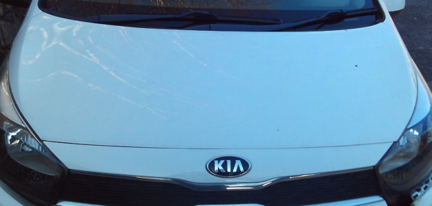 2019 GENUINE KIA PICANTO FRONT BONNET HOOD